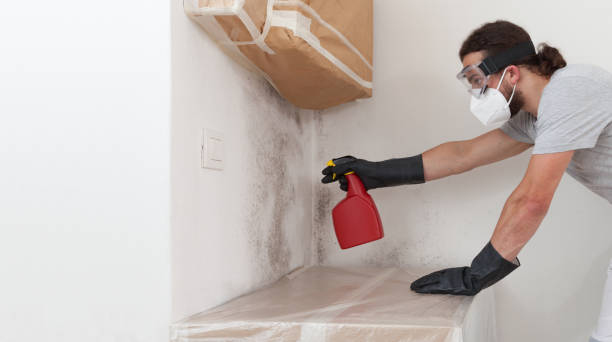 Professional Crawl Space Mold Removal technician working in Topsfield, MA