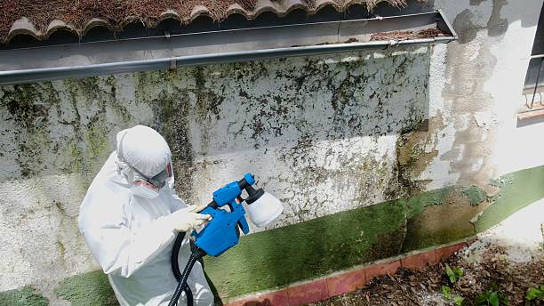 Trusted Mold Remediation service in Topsfield, MA - Cheap Mold Removal